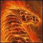 Аватар профиля 